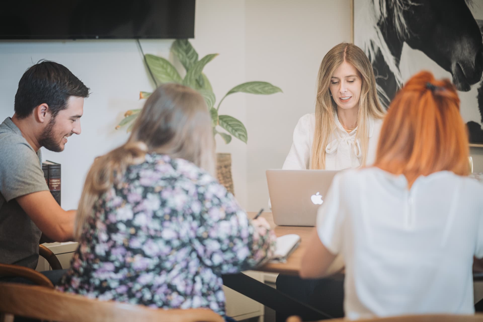 Rendez-vous client dans la salle de réunion d'Aurea Conseil à Alès